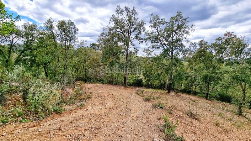 Foto d6bd5b76-6b02-4279-95d0-76d34d8dbd16. Landgut in Galaroza