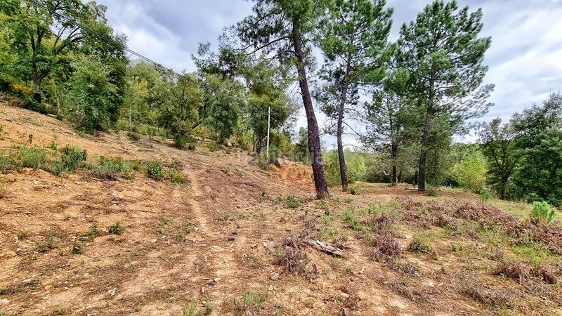 Foto df6b8408-5196-4dc4-9274-5a42b9da2e3e. Landgut in Galaroza