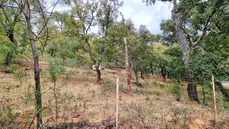 Foto fd72bb67-478d-400e-9f6c-5965e554eaf3. Landgut in Galaroza