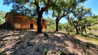Finca rústica a Galaroza. Finca de alcornoques y pinos en navahermosa