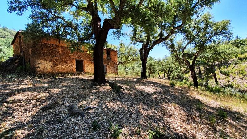 Foto 0800e7cc-ee8a-4e7d-b6bc-69edcf55b56c. Landgut in Galaroza