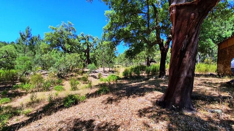 Foto 103995c2-fed2-4325-8815-33b03c665fc6. Landgut in Galaroza