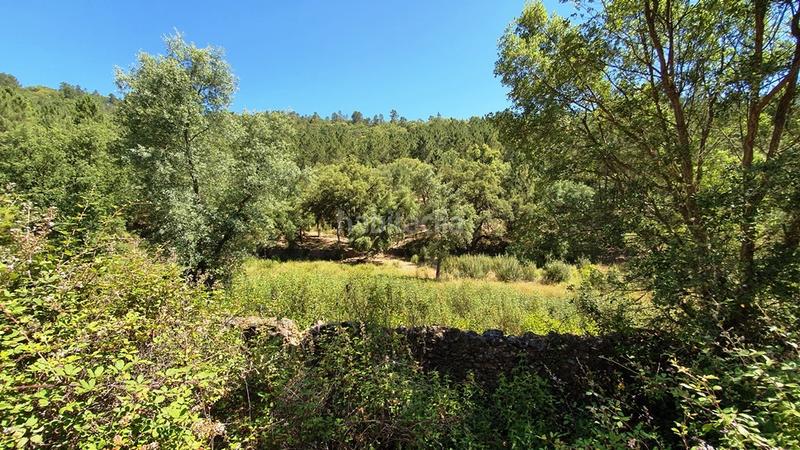 Foto 21186df4-d4fc-4307-8ebf-207d17ebe16d. Landgut in Galaroza