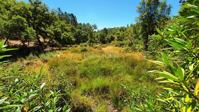 Foto 253337a1-8ea3-4150-a19e-c34fdac11ce6. Landgut in Galaroza