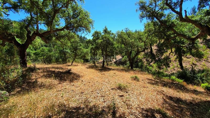 Foto 2b9af24a-ed86-48f7-b929-9527e6ad32c0. Landgut in Galaroza