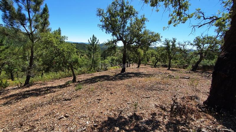 Foto 3b4df0ba-689f-4ddb-a311-685672afc59a. Landgut in Galaroza