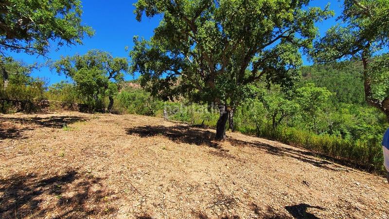 Foto 6b33557b-d955-43ec-a674-b7763f8f4607. Landgut in Galaroza