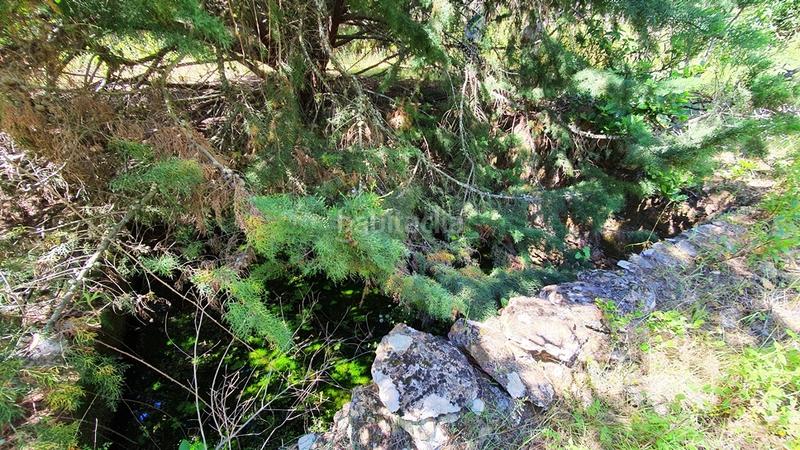 Foto 87a94058-3183-4fe5-8cbe-fe237744cce5. Landgut in Galaroza