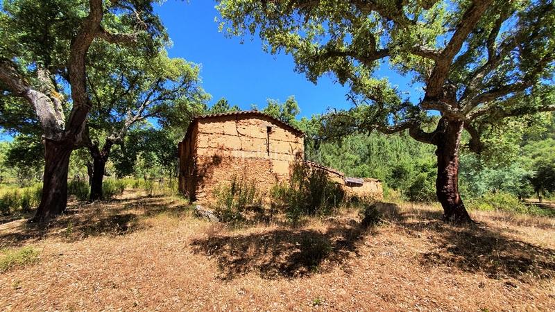 Foto a4b348ce-20bd-49a5-be47-cd59ac31f67b. Landgut in Galaroza