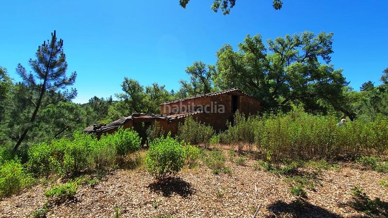 Foto b9a8ffa4-48c8-493f-8cef-5a107359fc14. Landgut in Galaroza