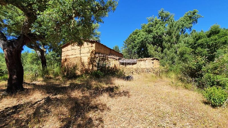 Foto d0d94add-cbca-4f23-a1ef-028f5f5f96d2. Landgut in Galaroza