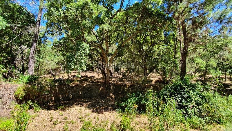 Foto ea79afce-f6b4-4361-a4db-a5208ff57fe7. Landgut in Galaroza