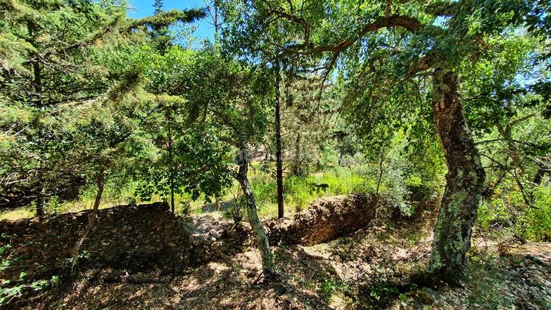 Foto fd3fdb24-5499-450f-bc65-145f402e9f3c. Landgut in Galaroza