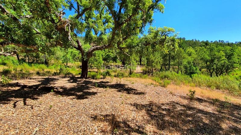 Foto fe0085ff-093f-44fc-90b7-a2b998b46ff1. Landgut in Galaroza