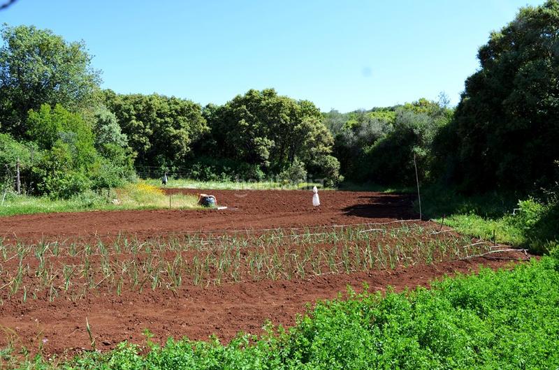 Foto 03783383-c332-4936-b926-2fb8be1af628. Rural plot in Castaño del Robledo