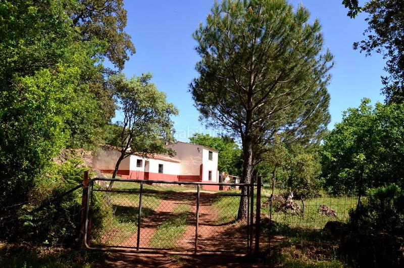 Foto 08eceef8-e9b0-4011-a0c2-71892a670293. Rural plot in Castaño del Robledo