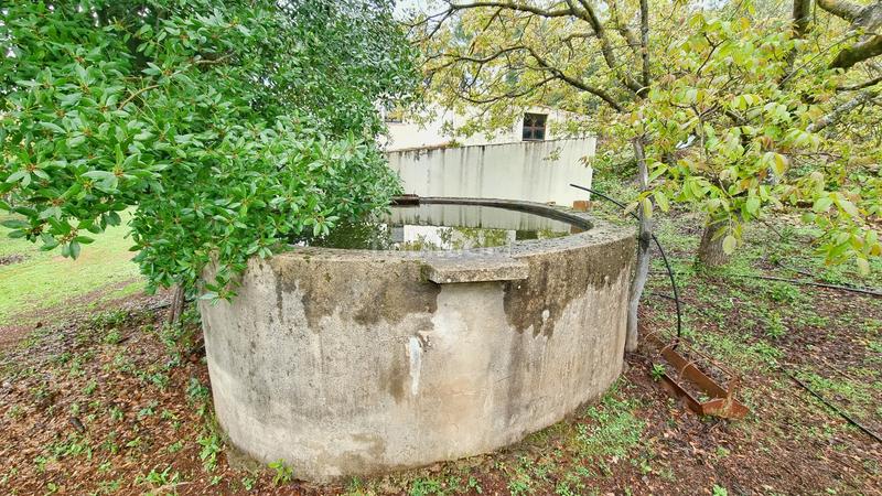 Foto 200d2706-c401-4b7f-bdd8-4fe379cb30d2. Rural plot in Castaño del Robledo