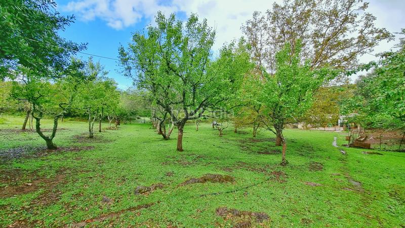 Foto 2d469987-a79a-4256-9eeb-b3c803b756e0. Rural plot in Castaño del Robledo