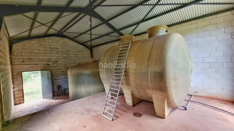 Foto 337759b7-ae1c-4578-99e2-f0c8252ab680. Rural plot in Castaño del Robledo