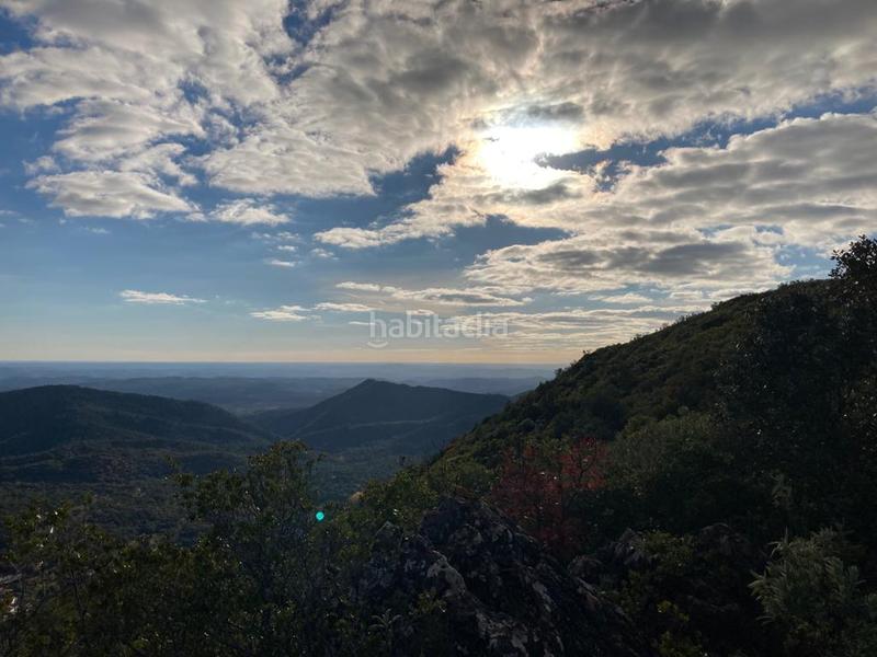 Foto 36817bf8-8bed-4489-b2a6-68ca1b1de473. Rural plot in Castaño del Robledo