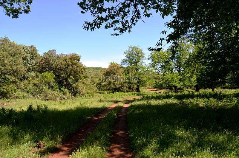 Foto 4fa47778-7ae0-466c-8988-f5a20aca06d4. Rural plot in Castaño del Robledo