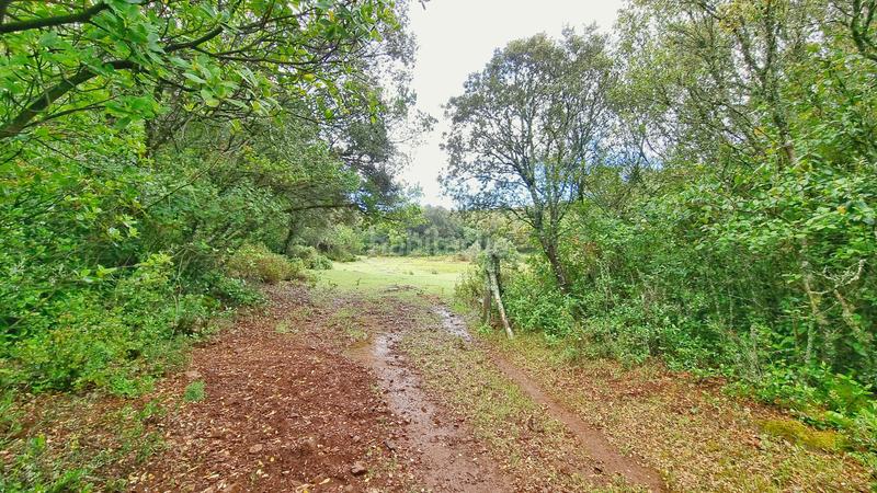 Foto 5bde5084-226a-4b6d-87af-aa993ec3b582. Rural plot in Castaño del Robledo