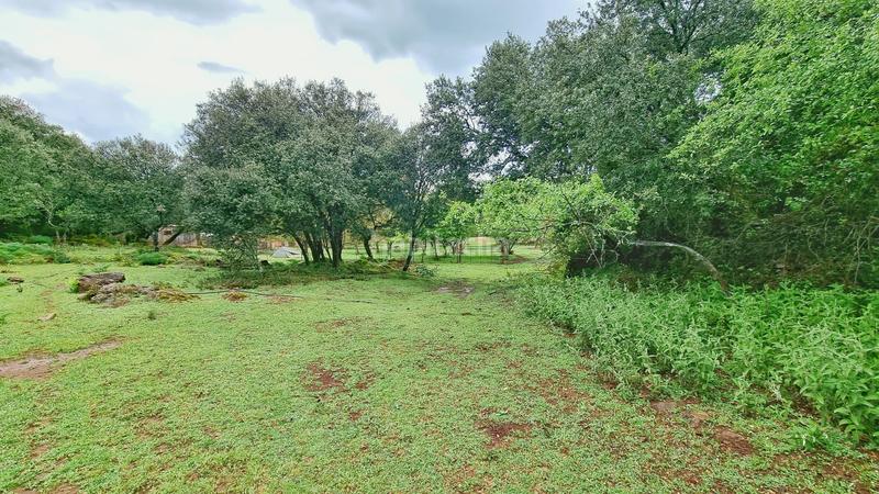 Foto 5c1e0e28-ad16-4c1f-bd3a-cbf366cb683b. Rural plot in Castaño del Robledo