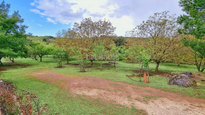 Foto 71975e1c-452c-4b51-98c9-428a3401b729. Rural plot in Castaño del Robledo