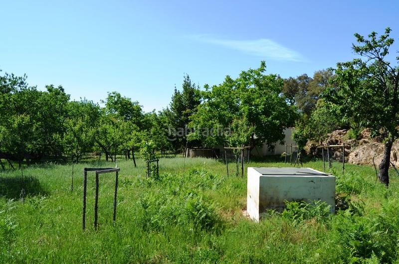 Foto 7ab0842c-0fdd-444b-ab59-6c03d17a3d7f. Rural plot in Castaño del Robledo