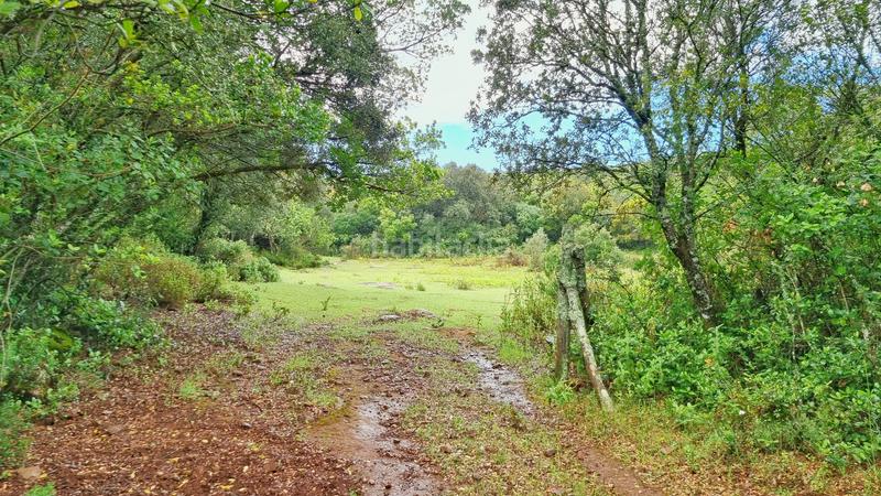 Foto 83a0bc1b-771e-4303-a961-0cdb8119dbf8. Rural plot in Castaño del Robledo