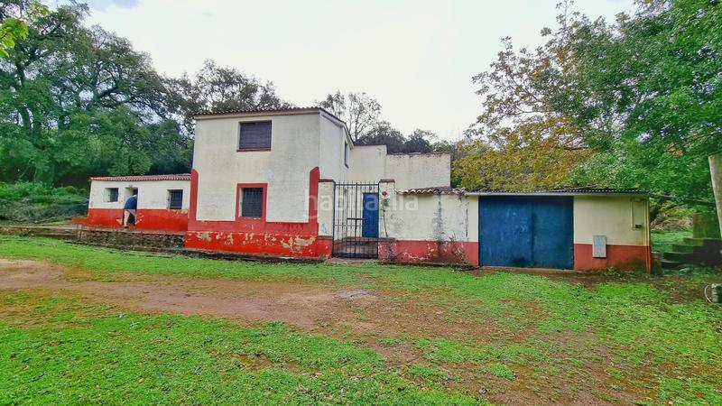 Foto 8ce47abe-fbab-49aa-bbde-1335455d4bb0. Rural plot in Castaño del Robledo