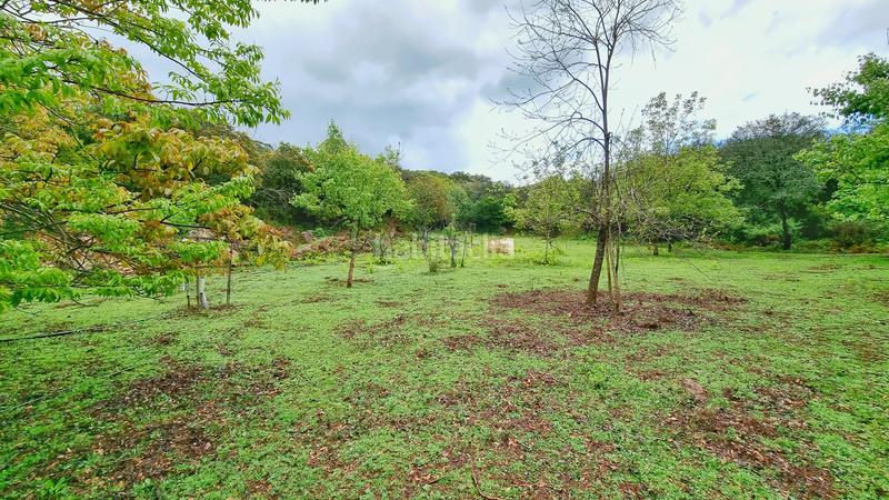 Foto 8d603f24-26ea-410d-a570-74921f98ce19. Rural plot in Castaño del Robledo