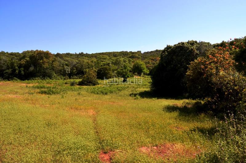 Foto cb663132-88d0-46ea-8771-0212b031e8d6. Rural plot in Castaño del Robledo