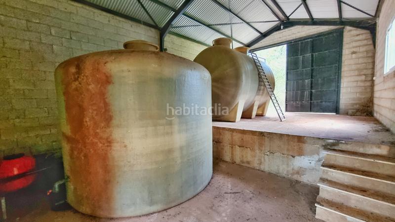 Foto d1acaa70-380c-4572-84ee-b4a29e32b83a. Rural plot in Castaño del Robledo