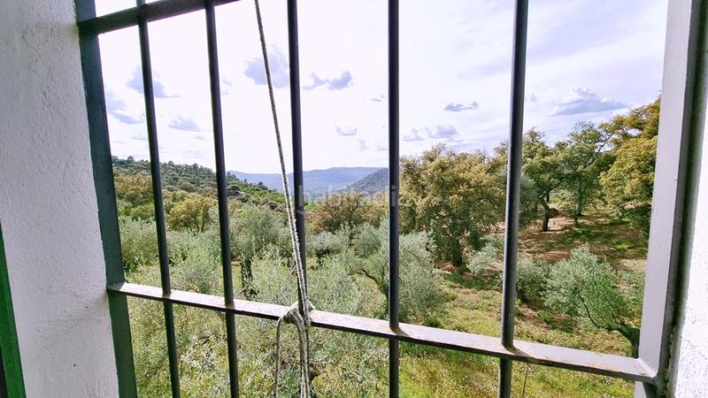 Foto 0bbb0869-fea8-4704-a244-077c7f2fa43b. Landgut in Galaroza