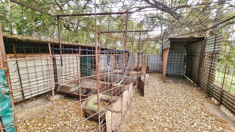 Foto 3e3f8c3d-fb8d-4adc-86d8-28fbffe9179e. Landgut in Galaroza