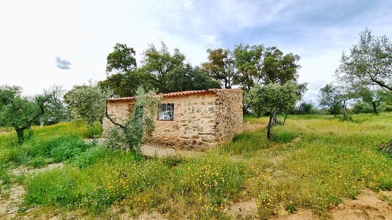 Foto 3f2b96c2-1028-4a14-801c-3888c8066580. Landgut in Galaroza