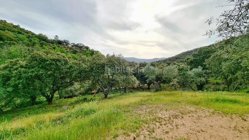 Foto 42215438-83ce-4109-99f9-7dfd41e3c207. Landgut in Galaroza