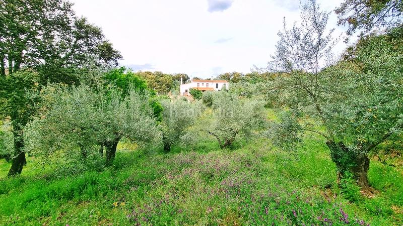 Foto 5ac52880-93d4-4f9b-8c79-e990a7e35930. Landgut in Galaroza