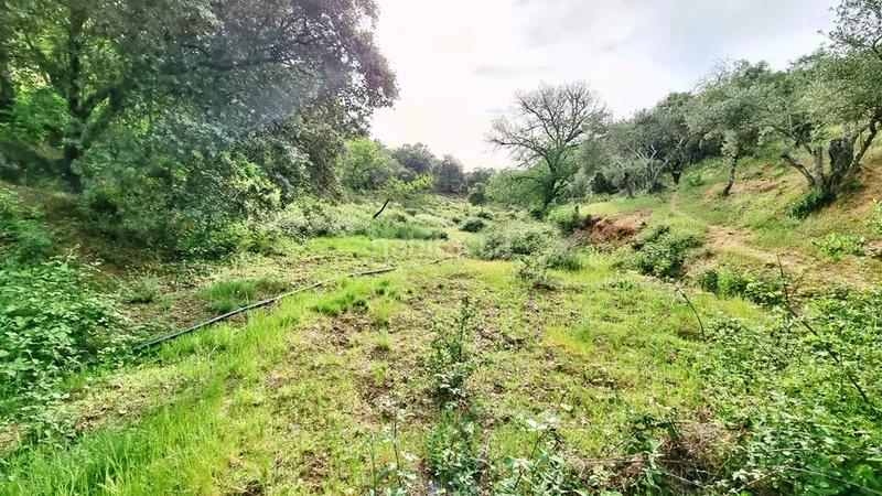 Foto 5dd977fa-132a-4de0-b590-fcf56c39efb5. Landgut in Galaroza