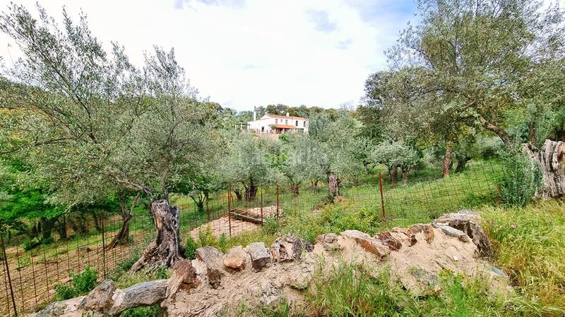 Foto b4c4c9b2-ef26-42b4-845d-3d730553619f. Landgut in Galaroza