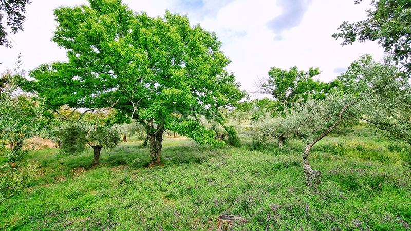 Foto d1fb9599-1912-490c-b73b-7164508f217a. Landgut in Galaroza