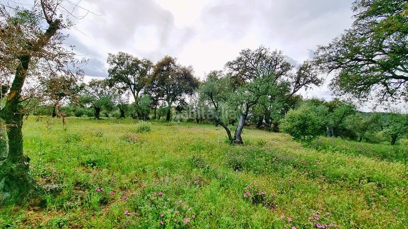 Foto d634d24a-2ee1-45a0-8ac9-43be936be3bb. Landgut in Galaroza