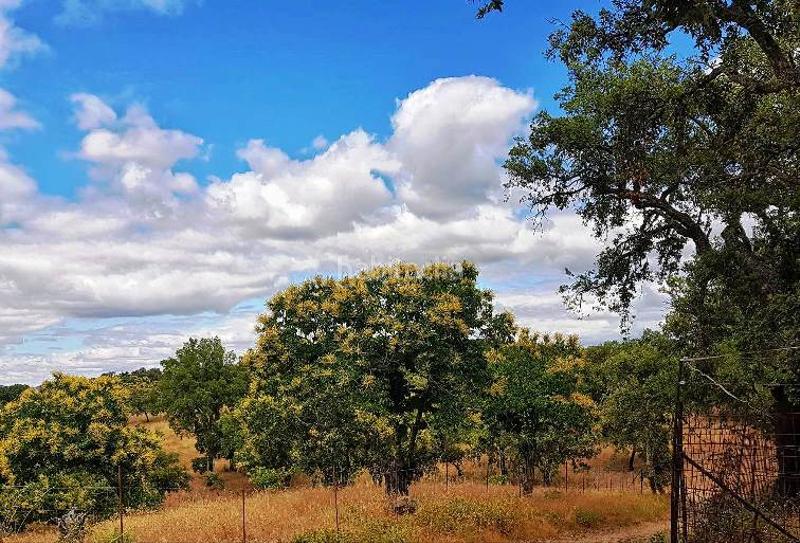 Foto efe4dfe1-629c-4053-8b1a-d218fab10f24. Landgut in Galaroza