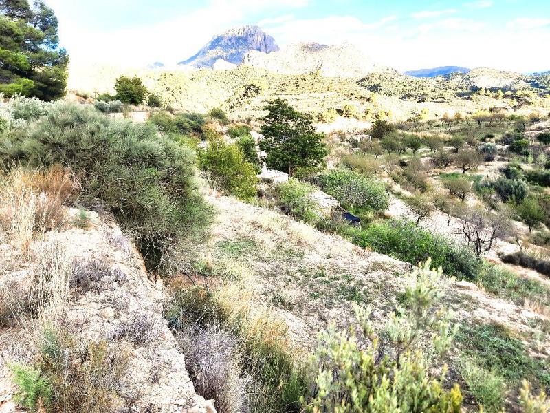 Foto aaa1014e-e5ff-405c-86ad-ff05aff35ad7. Mas dans Sella