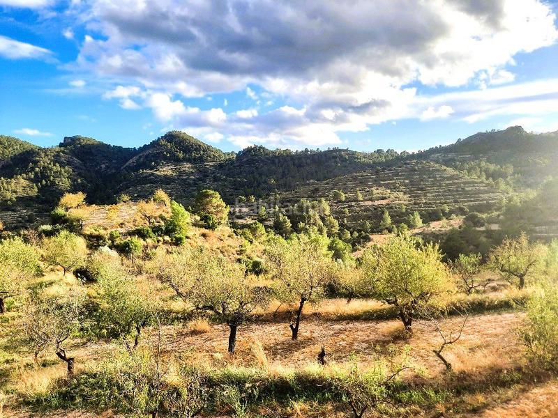 Foto fbd2362f-595d-4c6d-a246-3b235307ab63. Mas dans Sella