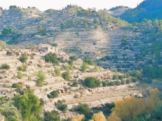Masia a Sella. Finca rúst. en venta en sella.