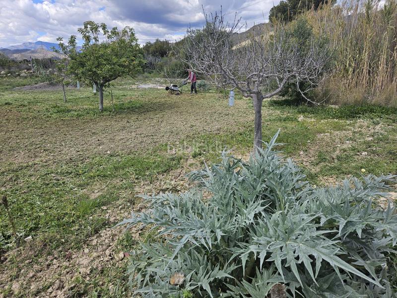 Foto 28f23173-0b97-4df1-9ff8-5df1bf5c4173. Mas dans El Secanet-Hacienda del Sol Vila Joiosa (la)