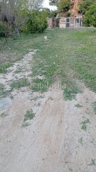 Foto 93171aa7-1dc0-428b-a4d8-d01d4fc1416d. Mas dans El Secanet-Hacienda del Sol Vila Joiosa (la)