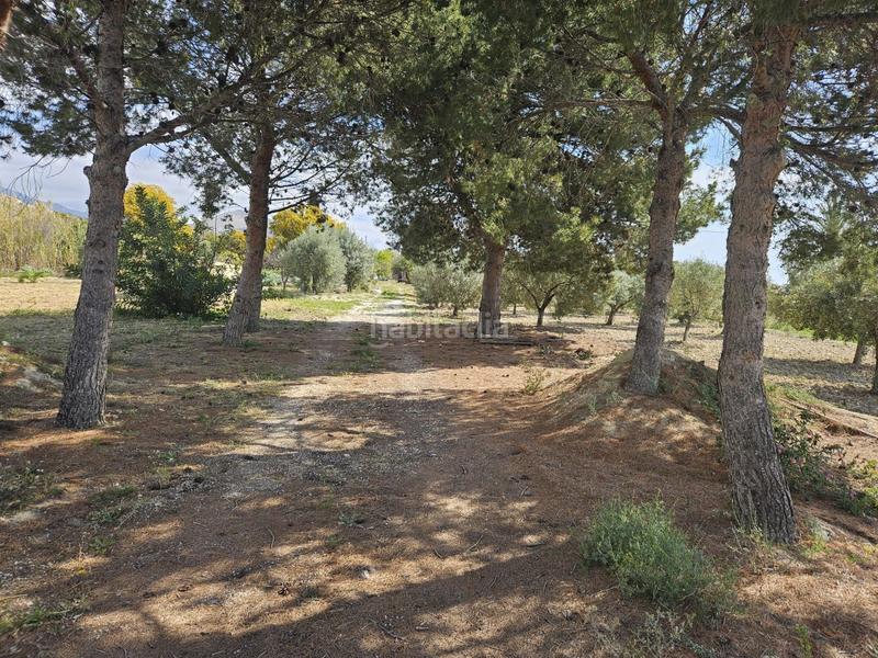 Foto 9eb87672-b9dc-4ac9-a4b1-fa0c34449aba. Mas dans El Secanet-Hacienda del Sol Vila Joiosa (la)